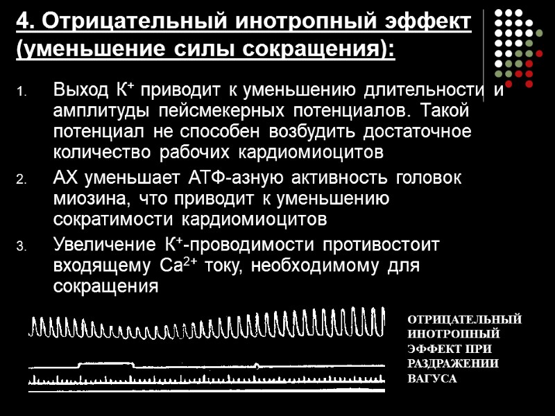 Выход К+ приводит к уменьшению длительности и амплитуды пейсмекерных потенциалов. Такой потенциал не способен